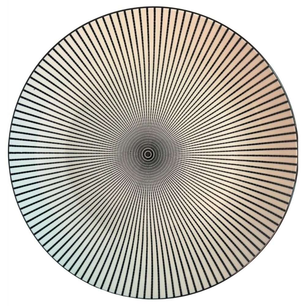 2 Royal Norfolk 10.5" Optical‎ Illusion Plates Microwave & Dishwasher Safe